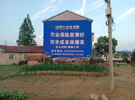 北流墙体广告的优劣势你知道吗？